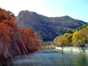 新澳天天开奖资料大全旅游团，崇左seo排名